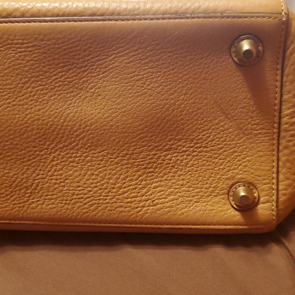 Coach - Picture 3 of 13